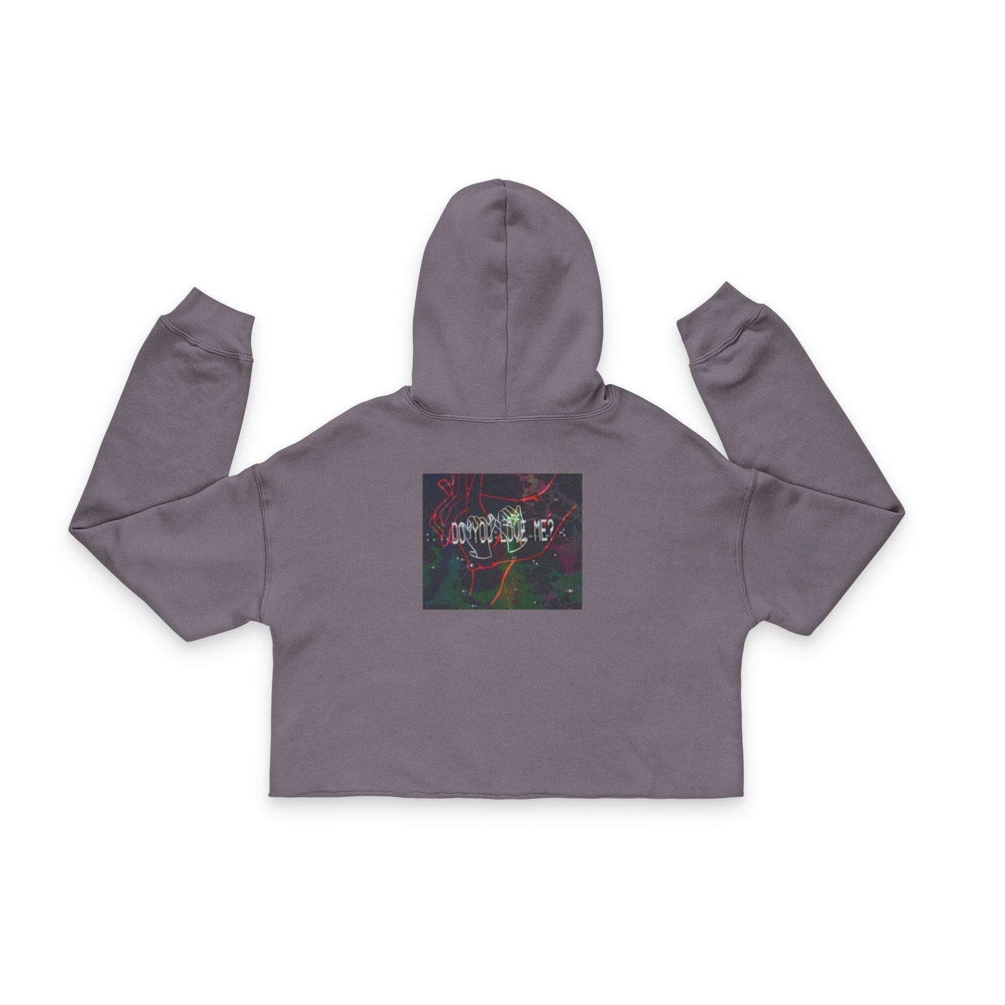 Gray cropped hoodie with a colorful graphic on the back against a white background
